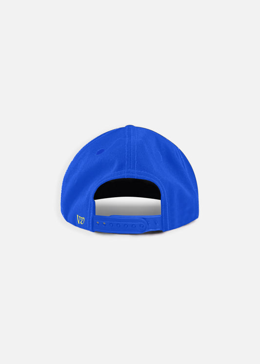 PROJECTS CAP : BLUE YELLOW