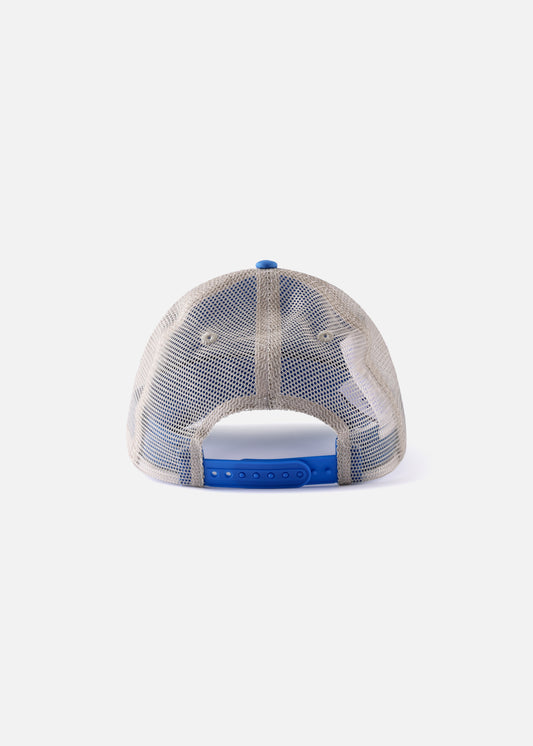 TESTIMONY CAP : BLUE