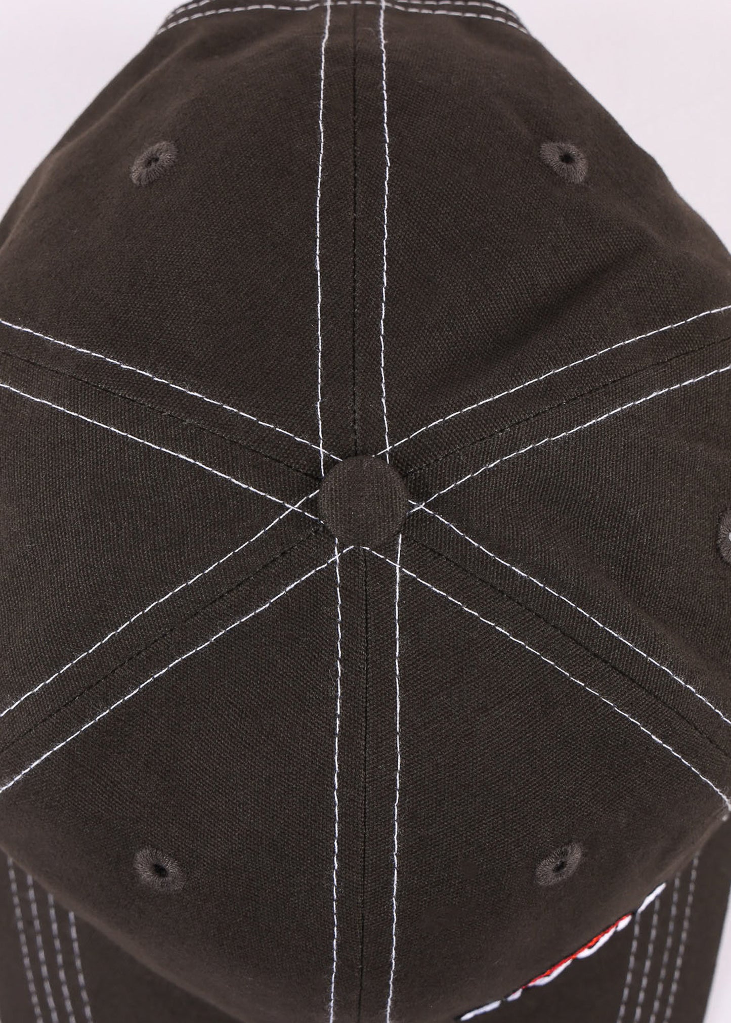 BRAIN TRUST CAP : BROWN