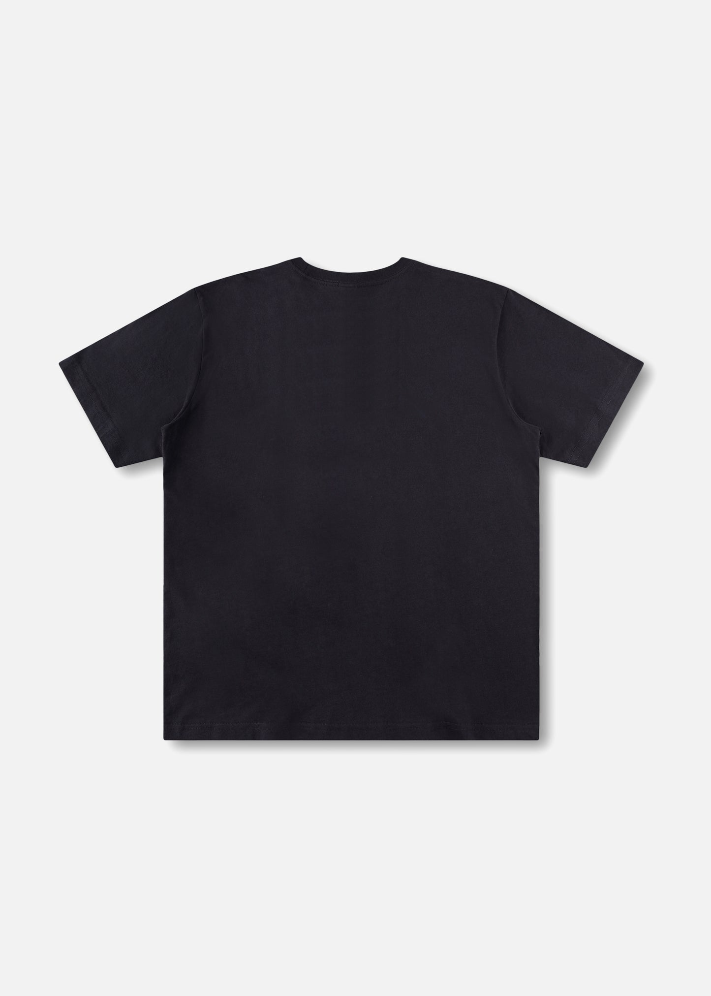 DECOR T-SHIRT : PIGMENT BLACK
