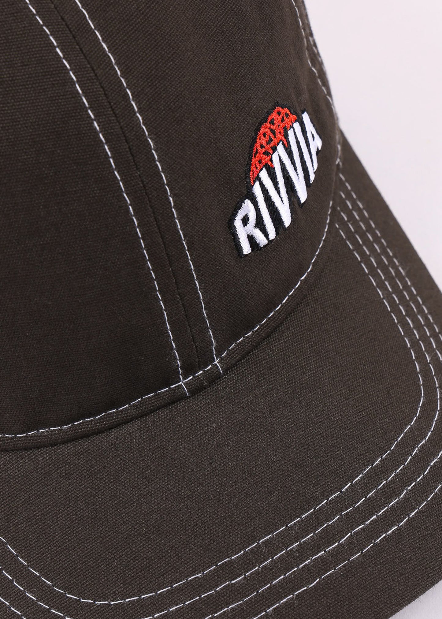 BRAIN TRUST CAP : BROWN