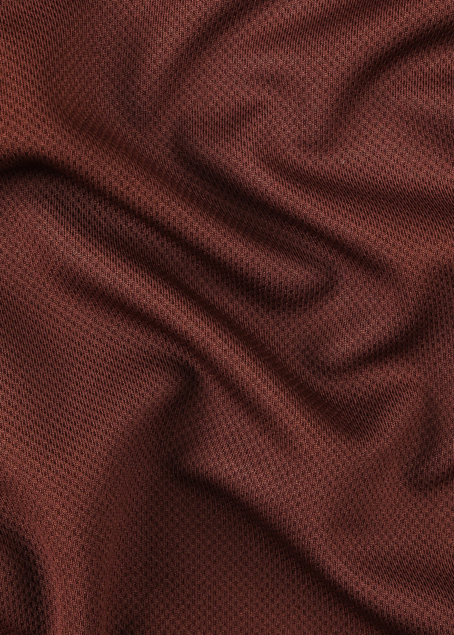 BRAIN TRUST POLO : BROWN