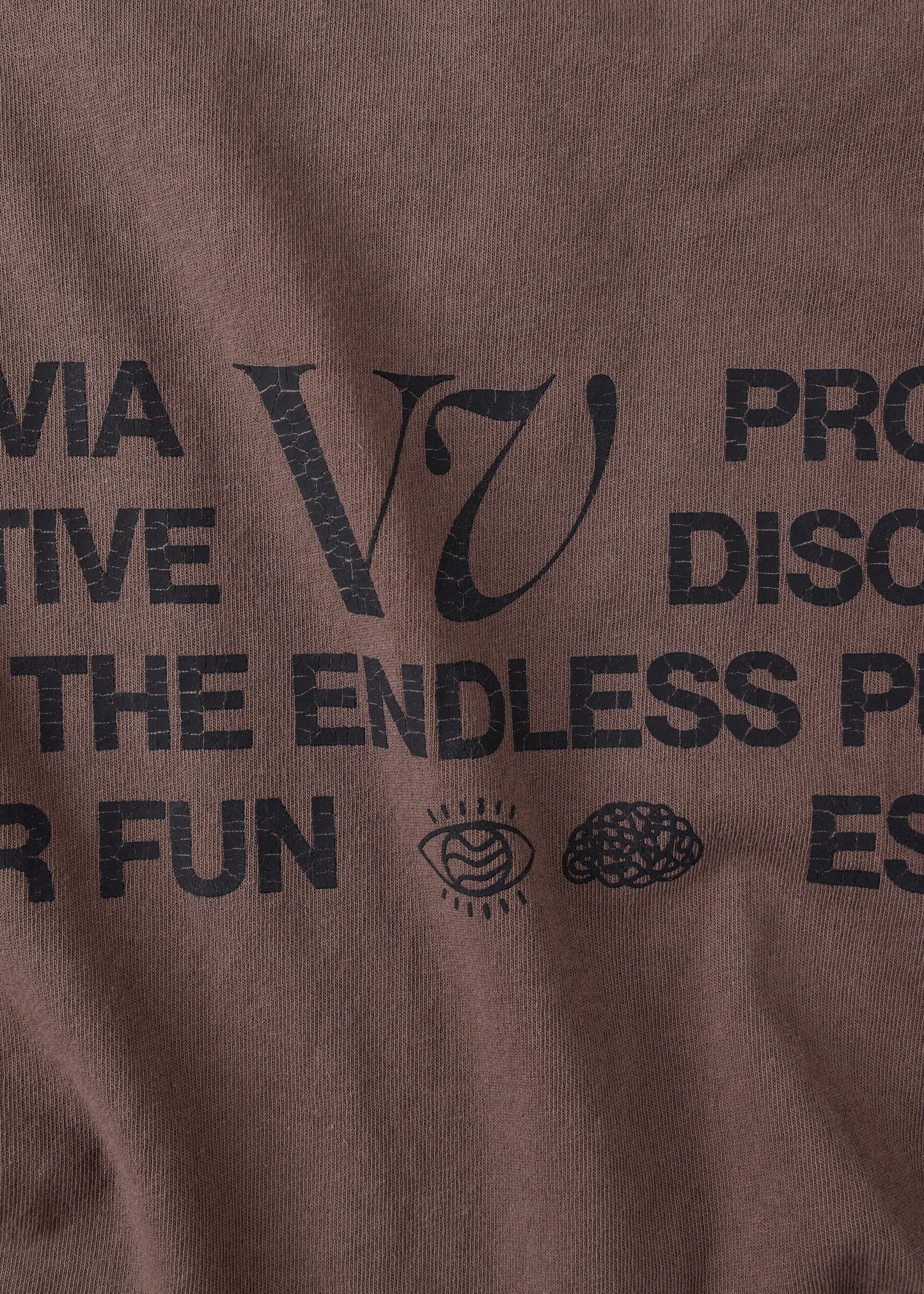 EXPANSE T-SHIRT : BROWN