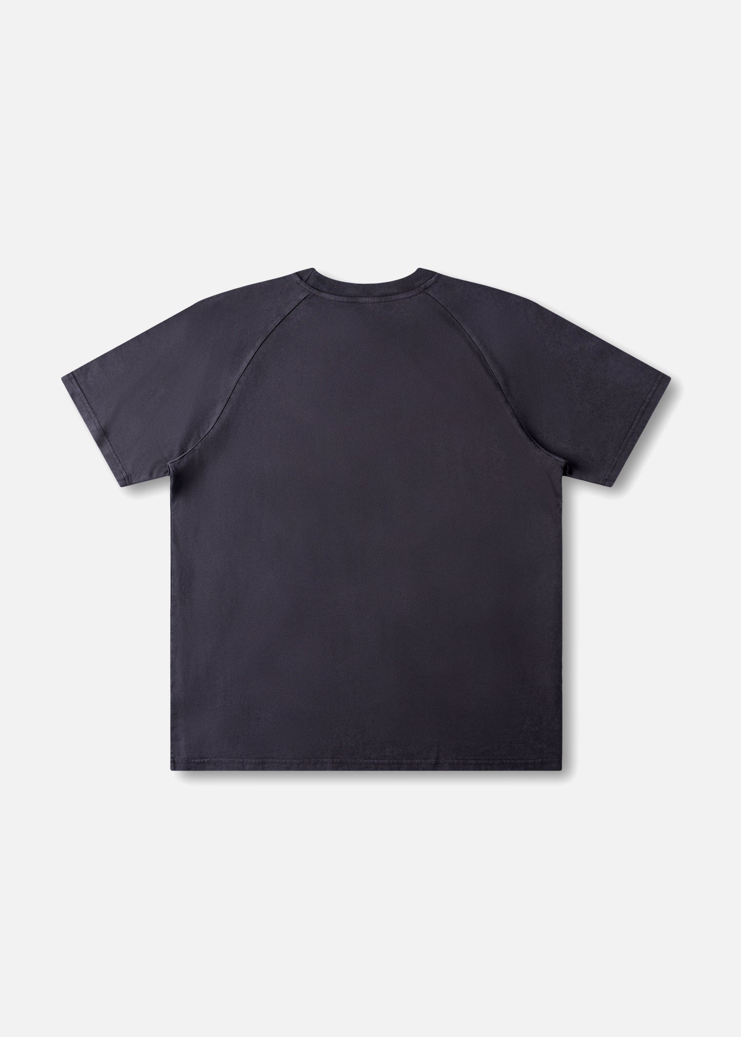 INSTITUTE RELAXED FIT T-SHIRT : WASHED BLACK