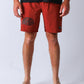 DAILY RIDE SHORT :  BRICK